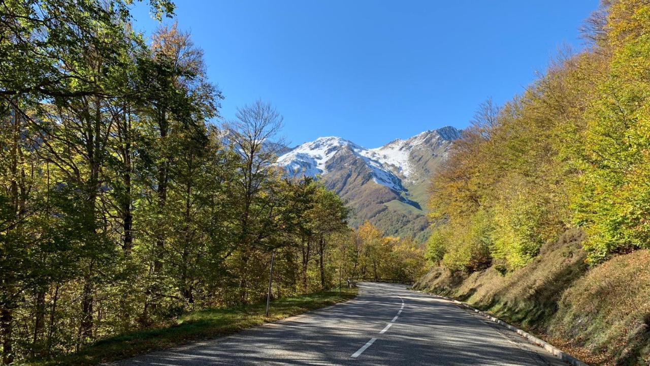 Residence Poste & Golf, Appartement Pour 4 Personnes Au Coeur De Luchon Bagnères-de-Luchon Exteriör bild